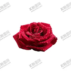 玫瑰 【酷图网】玫瑰花,玫瑰花花朵,玫瑰,手绘鲜花,手绘花朵,花,花朵,绿植,树叶,花草树木,花草,玫瑰花图片,玫瑰花壁纸,玫瑰花素材,素材图片,红玫瑰,月季花,鲜花,鲜花图片,鲜花素材,花瓣,服装印花,T恤印花,情人节,情人节图片,花卉,花蕊