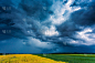 高降水撕裂的超级细胞风暴在田间, 立陶宛, 欧洲