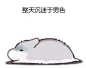 仓鼠hamham_百度图片搜索