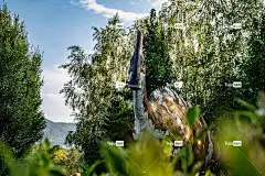 恐龙 蜥蜴 史前史 动物 加德 灭绝 侏罗纪 自然 公园