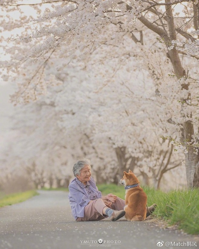 柴犬和老奶奶的暖心日常 超治愈 ​​​​