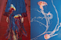 #Match Collection#

1.Philip Treacy for Valentino Haute Couture Spring 2018 | Jellyfish

2.Saint Laurent Finale Fall 2019 | Fluorescent jellyfish

3.Details at Givenchy Fall 2010 | Jellyfish...展开全文c
