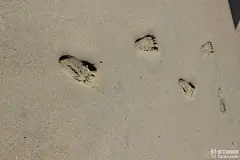 在这里，不但蓝天、沙滩和海水诱人，连沙子都能卖出好价钱，这儿沙不但出口到夏威夷，...