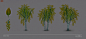 LowPoly Trees, Antonio Dell'Aquila : I had the chance to create these three assets for Narramor, a computer role playing game under development by Sleeping Hero, Milan (Italy).<br/>Lowpoly trees to build-up a mystical forest where the game will take