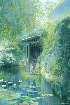 西瓜削皮吃采集到场景
