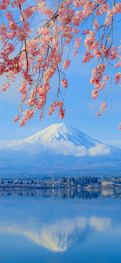 王老鑫采集到风景