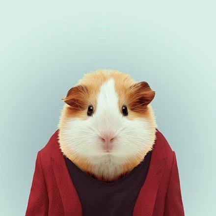 转帖：动物们的fashion证件照 - ...