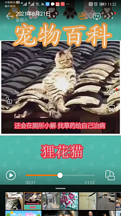 8DgjJELe采集到猫咪