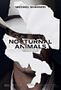 Nocturnal Animals