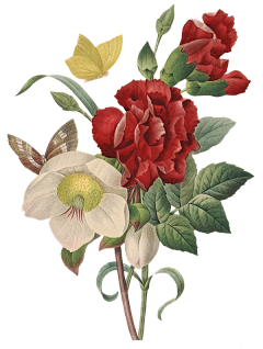 洛hanvens采集到插画