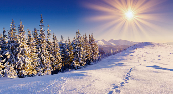 雪景