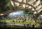 清华建筑设计院'国家植物博物馆'方案公布，“水绒花”绽开,Courtesy of THAD and Sutherland Hussey Harris