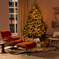 Eames Lounge Chair and Ottoman
