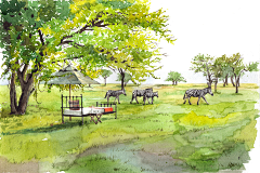 悟道DAO采集到插画