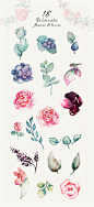 36 Watercolor forms : watercolors flowers and leaves