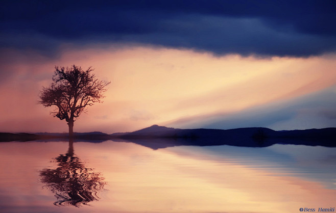 Photograph Reflect b...
