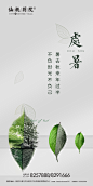 地产处暑节气移动端海报