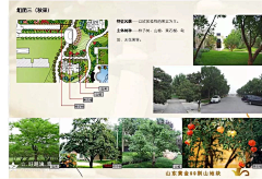 潮田桥采集到植物配置