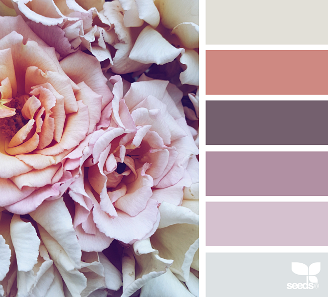 Design Seeds : Desig...