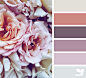 Design Seeds