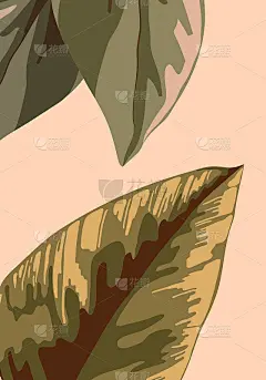 海报模板，封面与抽象的自然和植物模式。五颜六色的大叶子，绿色和粉红色。