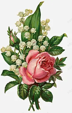 手绘花卉 花型图案 蓝色花型 元素 免抠png 设计图片 免费下载 页面网页 平面电商 创意素材