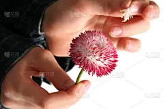 他爱我吗?