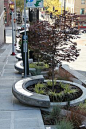 Stormwater planters on Maynard green street, Seattle by SvR Design Co. Click image for source & visit the slowottawa.ca boards:  http://www.pinterest.com/slowottawa/