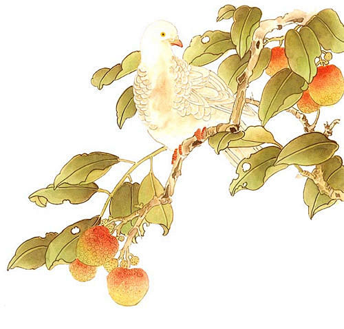 #中国复古风# #工笔画# 牡丹 梅花 ...