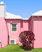 Hamilton Bermuda  百慕大彩色房子 ，童话中的世界 ​ ​​​​