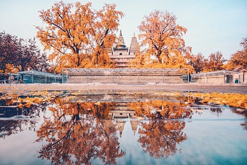 下落, 中國, 公園, 北京 的 免费素...