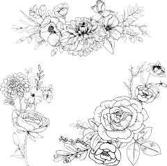 手绘素描花卉植物花朵元素铅笔画复古黑白