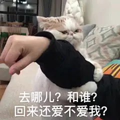 采集图片