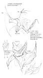 绘画学习 蝙蝠和鸟羽翼的绘法！#插画艺术作品# ​​​​