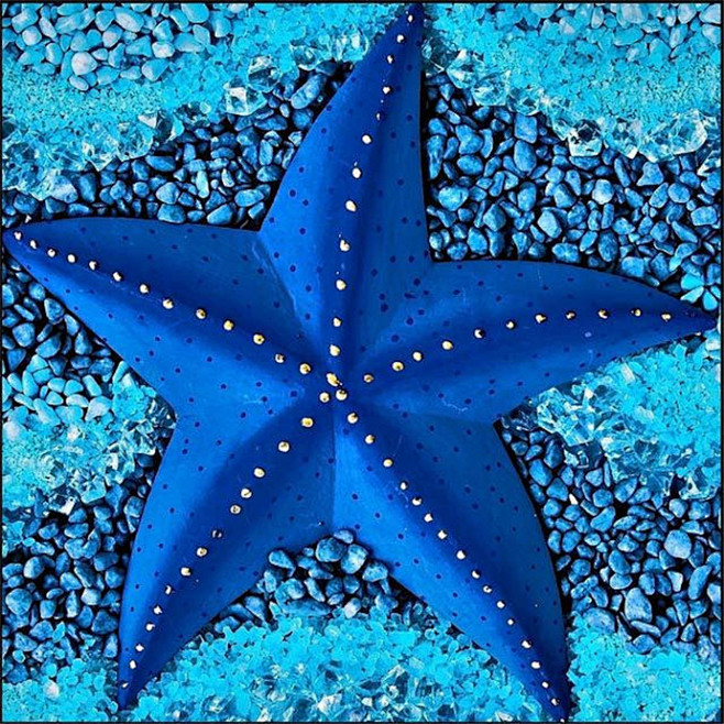 海星（Asteroidea）