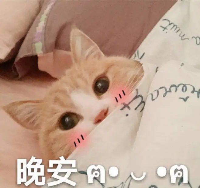表情包【晚安】-花瓣网