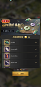 兵人指挥官 (44)