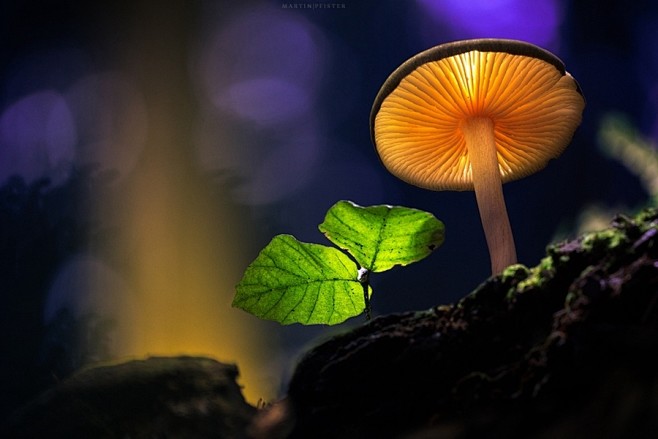 不要轻言你是为谁付出和牺牲，其实，所有的...