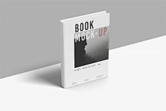 云汇素材官方采集到样机Mockups