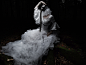德国silent-order摄影师―“诡异”的新娘---酷图编号945095
