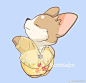 不同国家女子民族服装图鉴，你认识几个？柯基犬超话#萌宠# ins:bobblejot ​​​​