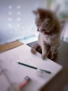 遇--小斌采集到萌萌