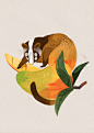 animal/fruit cards | Harvest Island board game
by Cinyee Chiu