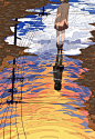 行く夏 来る秋/トーコのイラスト