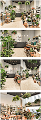 阿姆斯特丹De Balkonie植物店设计 | Studio 设计圈 展示 设计时代网-Powered by thinkdo3 #空间设计#