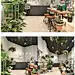 阿姆斯特丹De Balkonie植物店设计 | Studio 设计圈 展示 设计时代网-Powered by thinkdo3 #空间设计#