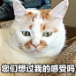 “吃饭不带我，玩游戏不带我...”
