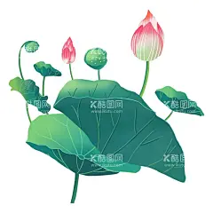 莲花荷花  - 源文件下载【酷图网】莲花,荷花,廉政,廉政荷花,荷花剪影,国画荷花,荷花图,荷花国画,水墨荷花,荷花水墨画,金色荷花,水墨画荷花,中国画荷花,荷花中国画,山水画荷花,荷花山水画,客厅画荷花,荷花客厅画,荷叶,荷塘,荷韵,夏荷,池塘,荷花池,意境荷花,湖,夏日荷花,荷花盛开,写意荷花,荷叶水珠,夏季,绿色,莲叶