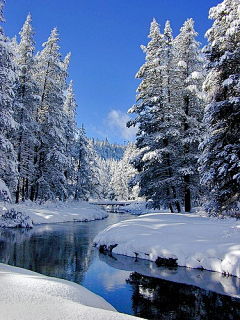 洫脃汐陽采集到雪景