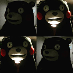 wyyyyyw采集到kumamon